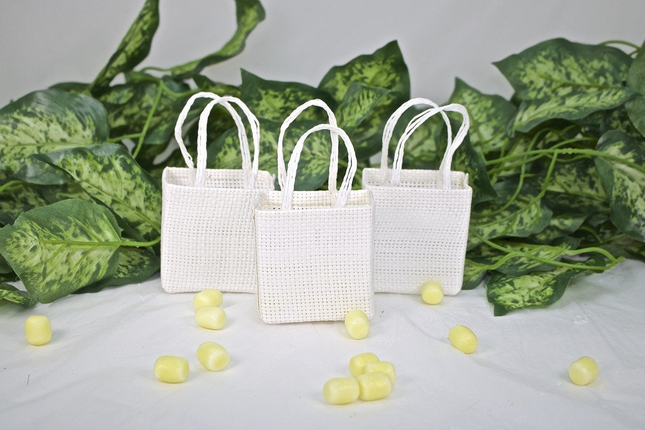 12 pcs-Large Square Tote Favor Bag