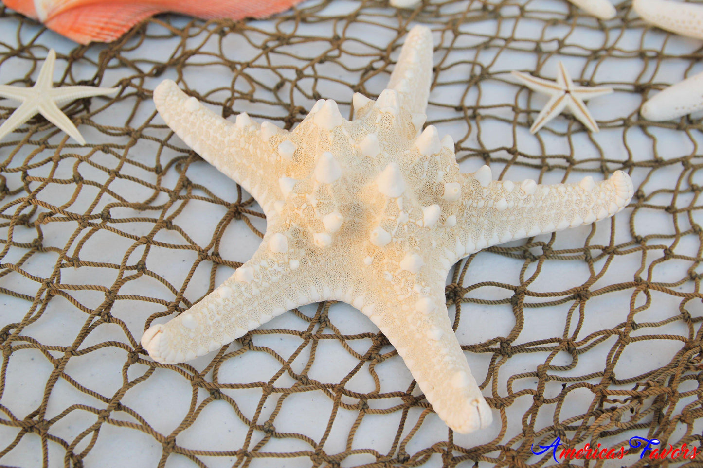 3' x 5' Decorative Net (1 piece)