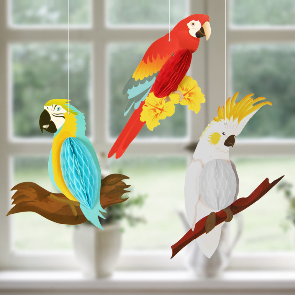 3pcs - Honeycomb Parrots