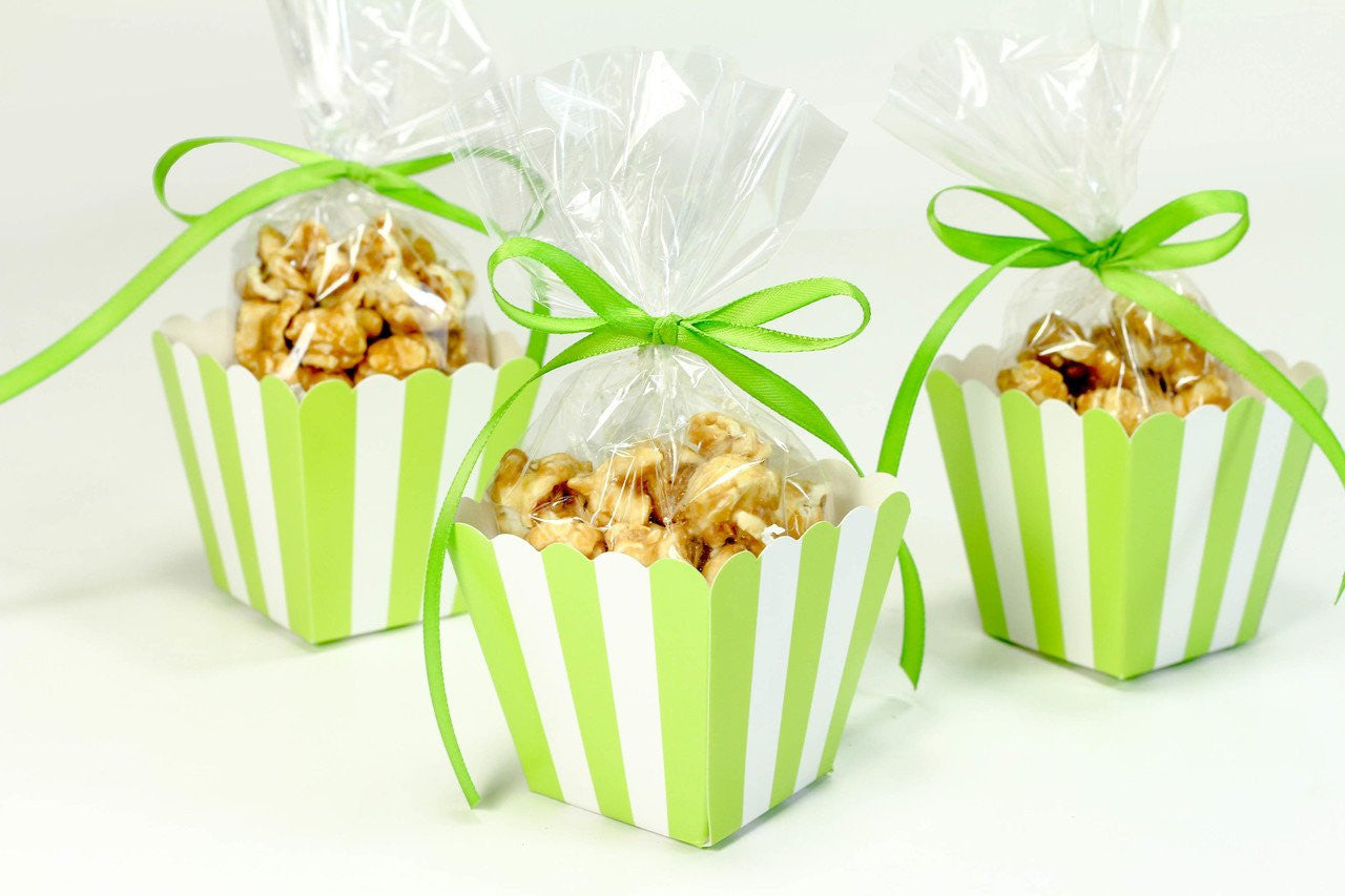 Mini Popcorn Favor Box (12 pieces) - Americasfavors