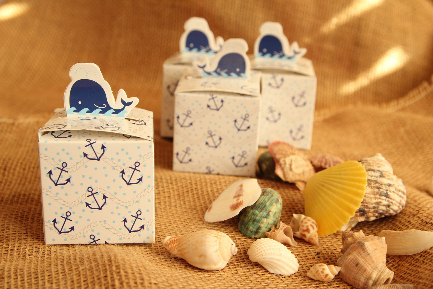 2.5" Nautical Whale Favor Box with Anchors (12 pieces)