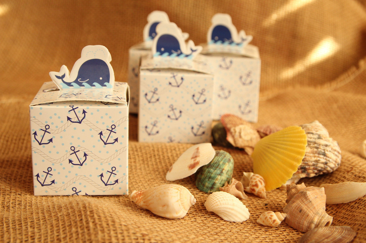 2.5" Nautical Whale Favor Box with Anchors (12 pieces)