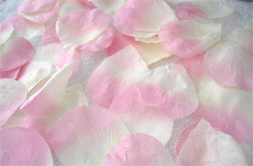 Rose Petal - Princess Pink