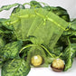 12 pcs-Leaf Green Organza Pouches 3"x 4"