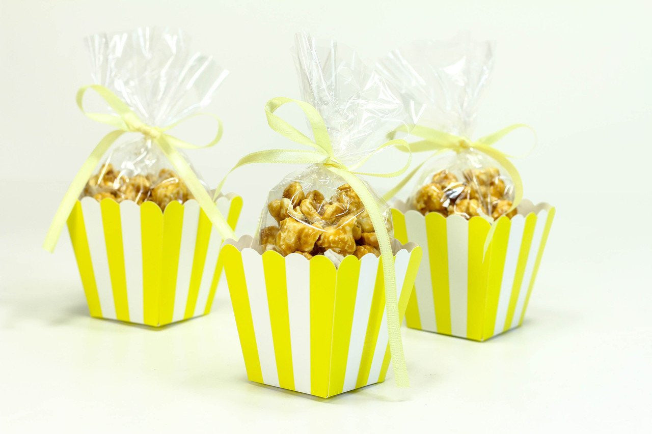 12 pcs- Mini Popcorn Favor Box