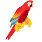 3pcs - Honeycomb Parrots