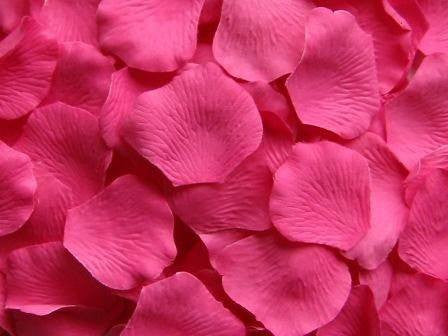 Silk Rose Petals - Shocking Pink - 200 ct